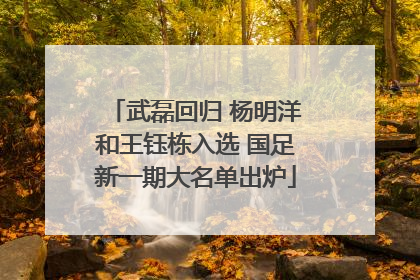 武磊回归 杨明洋和王钰栋入选 国足新一期大名单出炉